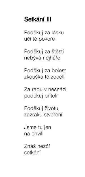 Zavt okno