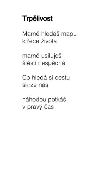 Zavt okno