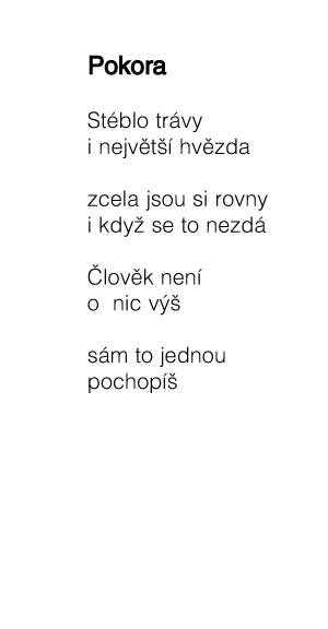 Zavt okno
