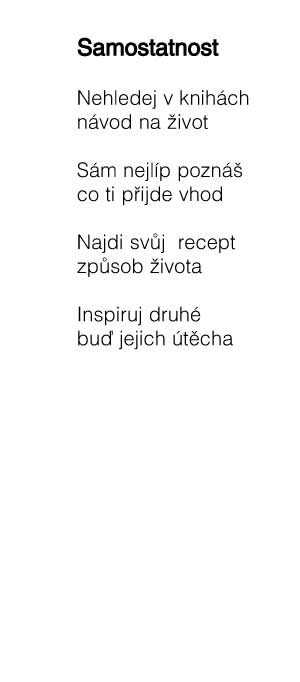 Zavt okno